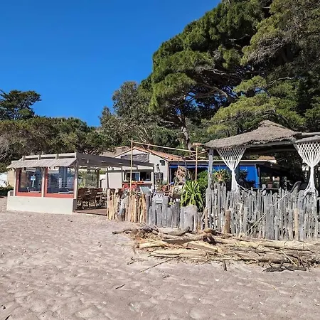 Cabana & Studio Cabine - 100 Metres De La Mer Apartment *